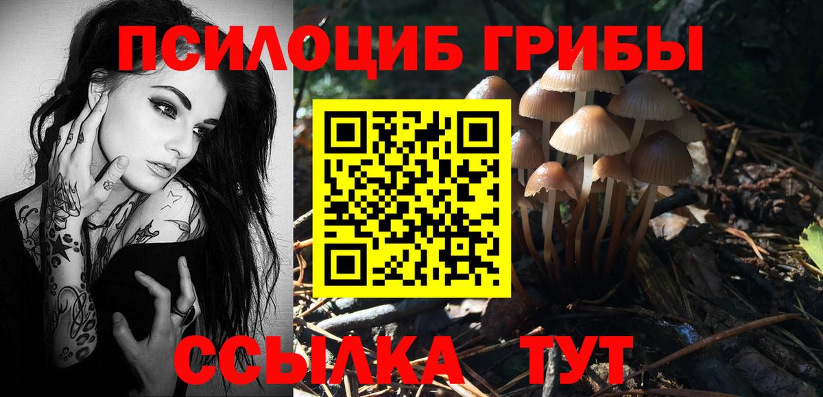 Чебаркуль  Псилоцибиновые грибы Psilocybe  Вход с VPN 